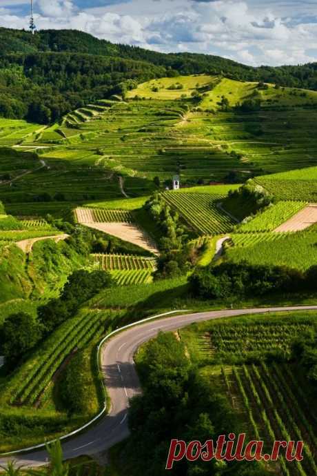 Natureland