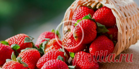 Клубничные советы — Делимся советами