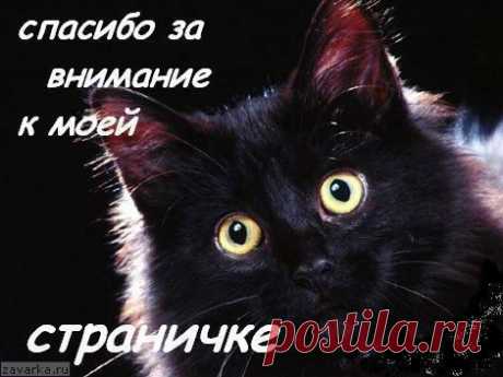 Блог пользователя Людмила