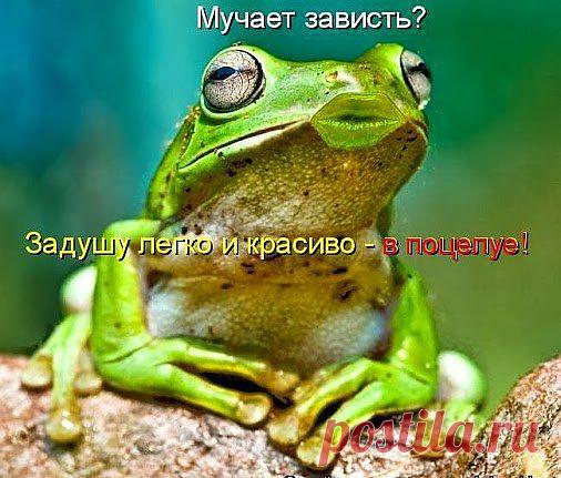 Самое интересное в мире: И В ШУТКУ, И ВСЕРЬЕЗ! Не смотрите, что ... - natali5357@mail.ru - Почта Mail.Ru