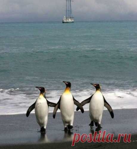Лилия Советкина | ВКонтакте