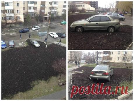 Подборка автоприколов