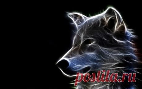 3D Animals HD Wallpapers | Desktop HD wallpaper. Stock photos HD quality.