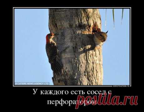 VFL.Ru это, фотохостинг без регистрации, и быстрый хостинг изображений.