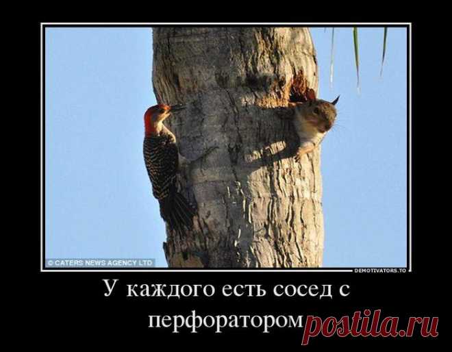 VFL.Ru это, фотохостинг без регистрации, и быстрый хостинг изображений.