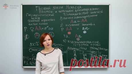 Первый, второй и третий законы Менделя! А также сцепленное наследование, мейоз и кроссинговер! Очень наглядно : посмотрели - выучили :) Забирайте к себе на стенку и изучайте