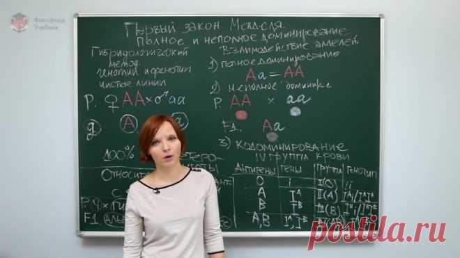 Первый, второй и третий законы Менделя! А также сцепленное наследование, мейоз и кроссинговер! Очень наглядно : посмотрели - выучили :) Забирайте к себе на стенку и изучайте