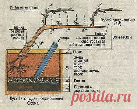 Одноклассники