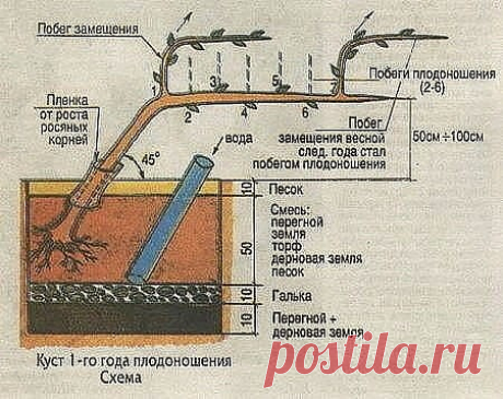 Одноклассники