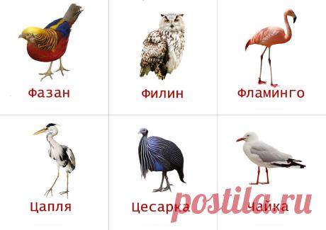 ♥ РАННЕЕ РАЗВИТИЕ ДЕТЕЙ ♥ делаем детство ярче ♥