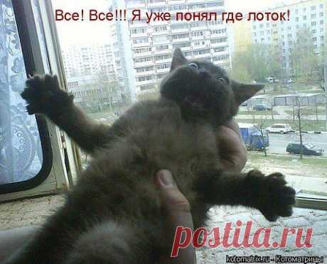...безвыходная ситуация.... Пора соглашаться;-))