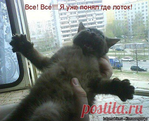 ...безвыходная ситуация.... Пора соглашаться;-))