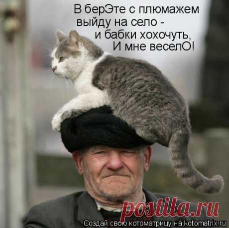 Забавные животные