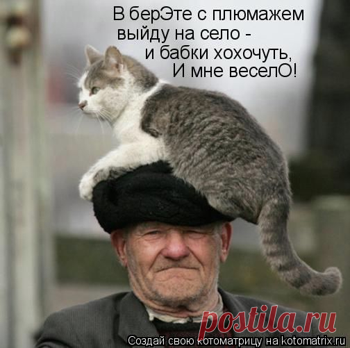 Забавные животные