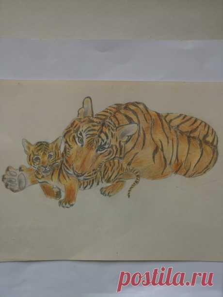 Амурские тигры 1995 г. (карандаш)