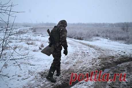 В ДНР начали проверку из-за выброшенного на свалку груза для бойцов СВО. В ДНР проводится проверка по факту обнаружения на свалке гумпомощи, предназначенной для бойцов в зоне проведения специальной военной операции (СВО). Об этом РБК сообщили в аппарате правительства республики. Груз, который должен был быть доставлен на передовую, 23 января обнаружил волонтер-дальнобойщик.