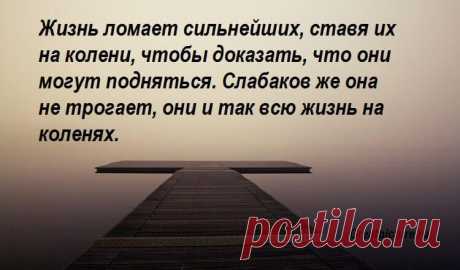 13 Цитат с очень глубоким смыслом