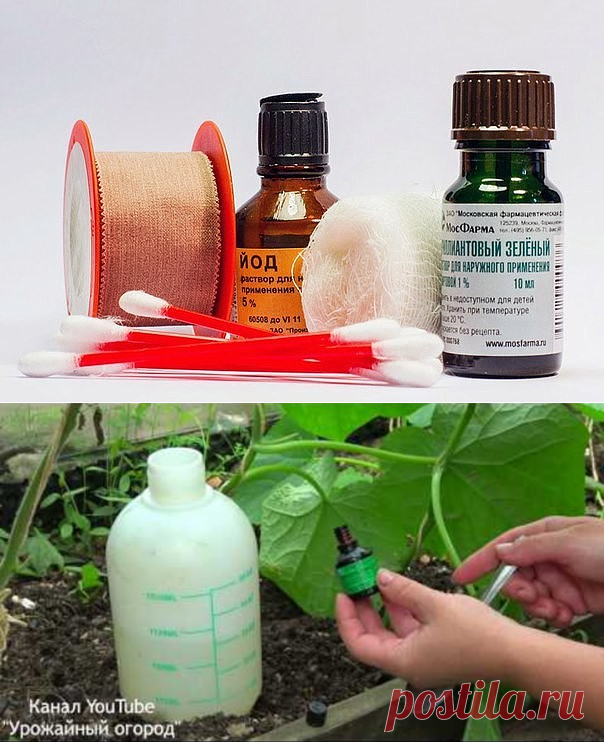 (81) Одноклассники