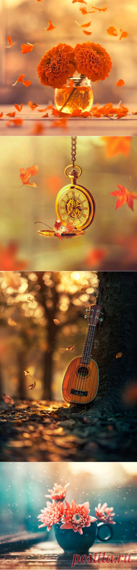 Time to Fall \ by Ashraful Arefin
