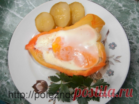 Запеченное в перце яйцо
Запеченное в перце яйцо - удачный вариант диетического завтрака. Готовить его просто и быстро, всегда получается вкусным и красивым. Это рецепт здорового питания.