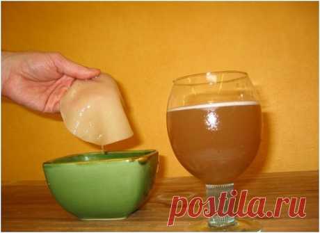 ЧАЙНЫЙ ГРИБ — АНТИБИОТИК ИЗ БАНКИ. КАК ВЫРАСТИТЬ САМОСТОЯТЕЛЬНО.
Чайный гриб — антибиотик из банки. Как вырастить самостоятельно. 
Чайный гриб — это симбиоз различных бактерий и дрожжей, возникший в естественных условиях. Чайный гриб был настолько популярен среди жителей различных народностей, что упоминания о нём можно найти практически в каждой культуре. Это не удивительно, ведь помимо приятного вкуса и ряда полезных свойств, культуральная жидкость чайного гриба является...