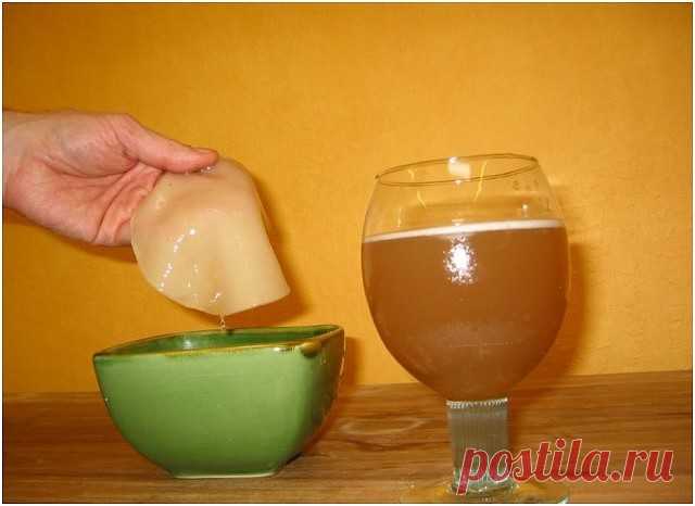 ЧАЙНЫЙ ГРИБ — АНТИБИОТИК ИЗ БАНКИ. КАК ВЫРАСТИТЬ САМОСТОЯТЕЛЬНО.
Чайный гриб — антибиотик из банки. Как вырастить самостоятельно. 
Чайный гриб — это симбиоз различных бактерий и дрожжей, возникший в естественных условиях. Чайный гриб был настолько популярен среди жителей различных народностей, что упоминания о нём можно найти практически в каждой культуре. Это не удивительно, ведь помимо приятного вкуса и ряда полезных свойств, культуральная жидкость чайного гриба является...