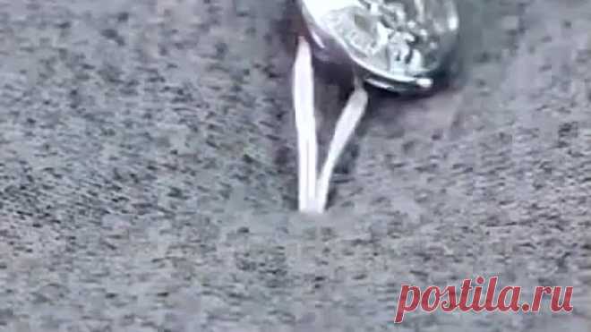 Идеи для cпaльни 🛌