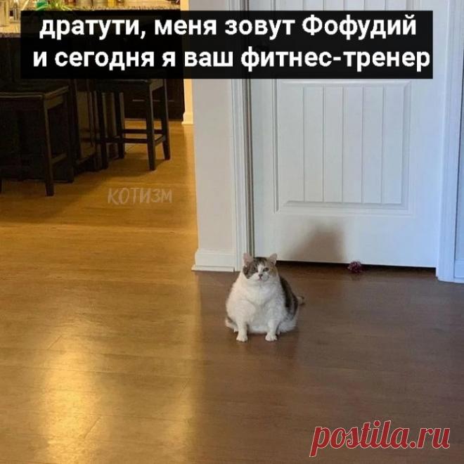 Самая эффективная фитнес-программа.