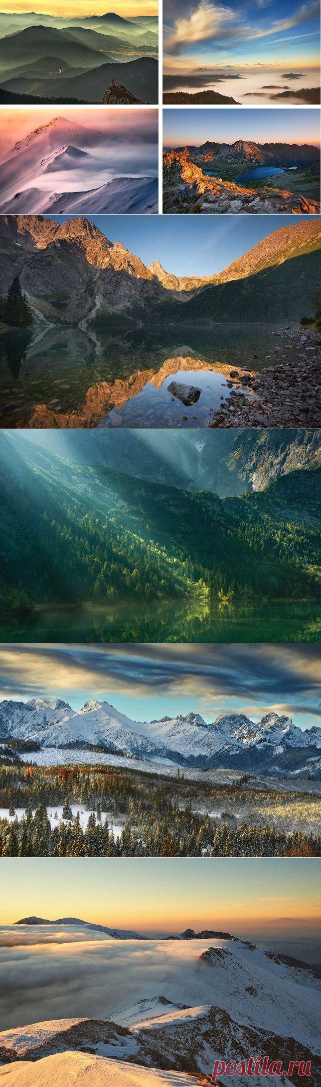 Лучше гор могут быть только горы / Туристический спутник