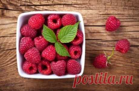 Пропадает малина? Узнайте рецепты вкуснейших зимних заготовок! | Статьи (Огород.ru)