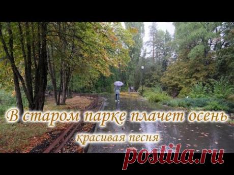 В старом парке плачет осень. Красивая песня
В старом парке плачет осень,
Бестолковый старый клён,
Просто нервы ей щекочет,
И смешно со всех сторон.
У него роман с рябиной,
Как же скрыть такую страсть,
Если ягодой счастливой,
Хочет быть она сейчас.