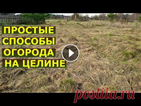 Как сажать на целине без перекопки?

вязание кардиганов из толстой пряжи спицами