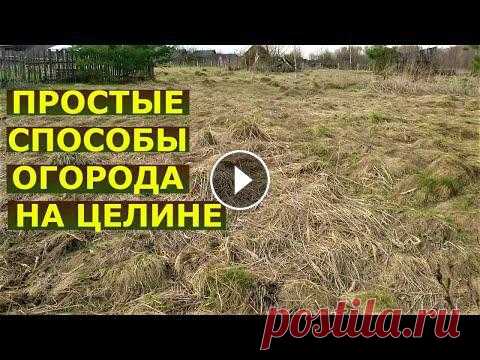 Как сажать на целине без перекопки?

вязание кардиганов из толстой пряжи спицами