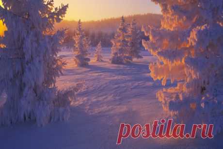 (11) Tumblr