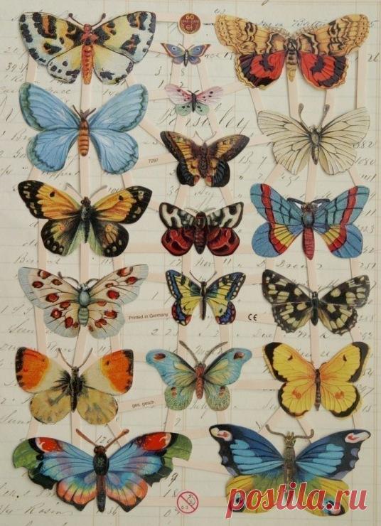 (12) Gallery.ru / Foto #23 - Dibujos de pájaros y animales - Starlin