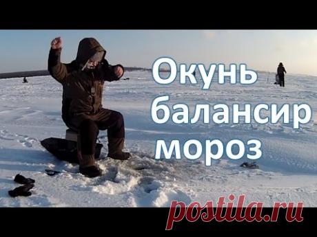 Ловим окуня на балансир в мороз