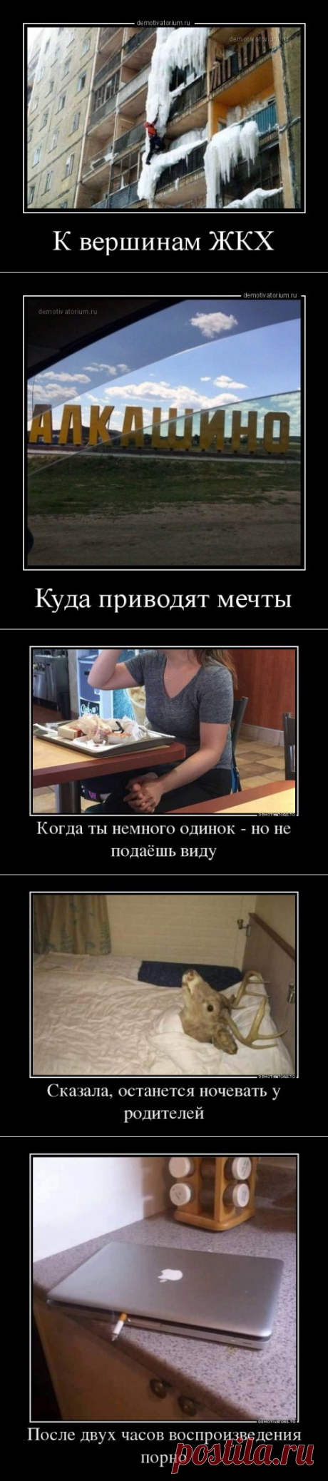 Свежая порция демотиваторов (14 шт)