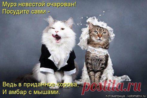 Elena Tikhova
— Абрам, я слышал, твоя дочка выходит замуж? — Да, выходит... понемногу.Мне нравится3час назад|Ответить