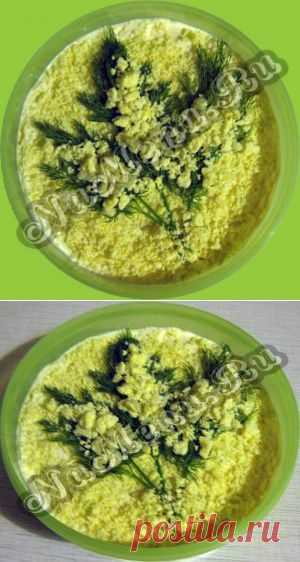 Салат "Мимоза" с сыром