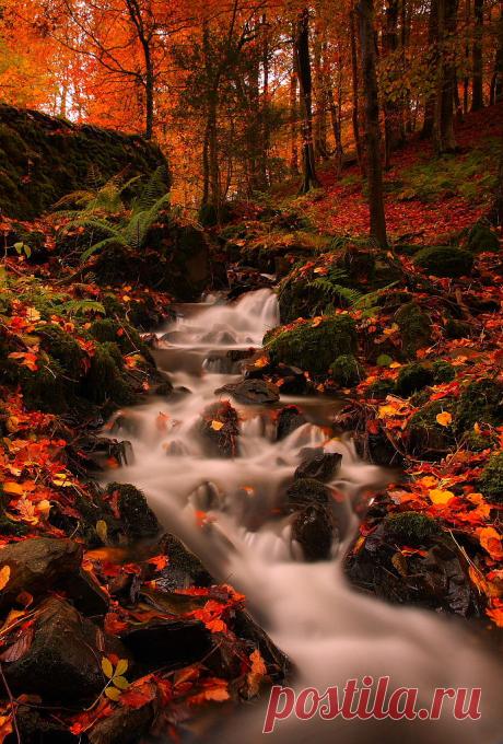 mxtraculous • lori-rocks: Lakeland stream, in autumn… by...