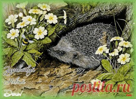 ДАРИМ  ОТЛИЧНОЕ  НАСТРОЕНИЕ!
Валентина Симоненко (Колпина)