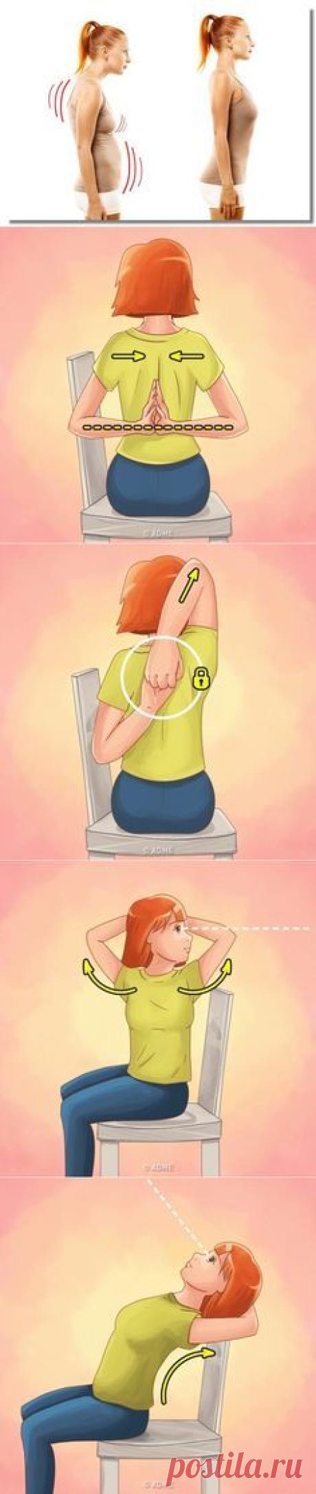 medpravila.com | fitness