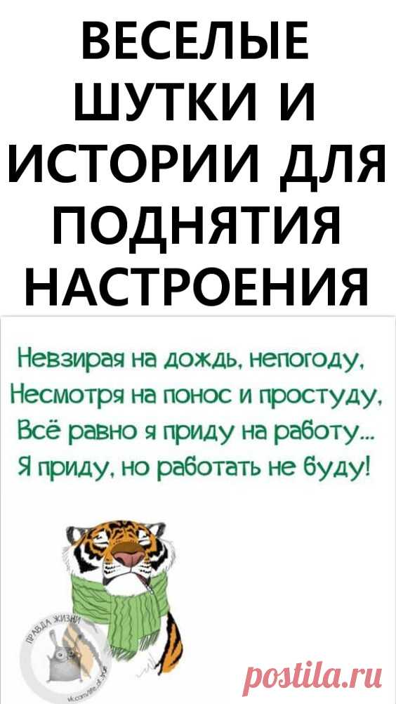 Веселые шутки и истории для поднятия настроения. Наша подборка коротких веселых историй настроит вас на позитив и подарит хорошее настроение на весь день!

Живите и смотрите на всё происходящее вокруг с юмором!
