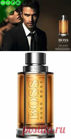 Мужской парфюм от которого женщины теряют голову: Boss The Scent от Hugo Boss - 5 Октября 2015 - Проект "Ваш-Аромат.ру": духи, парфюмерия, тестеры