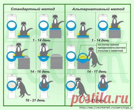 Полезные советы..
