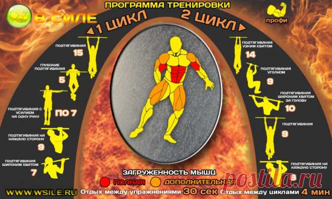 53 тренировочных программы для Начинающих, Продвинутых, Профессионалов и Мастеров от сайта WSILE.RU - WorkOut