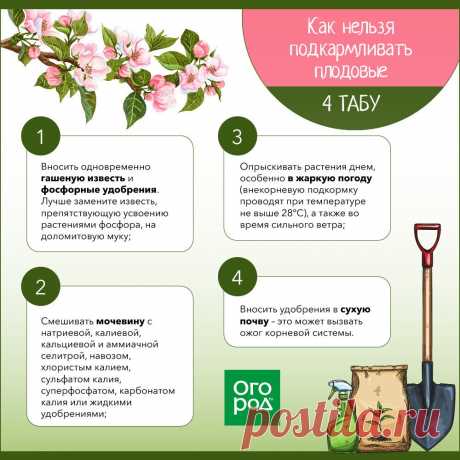 Как нельзя подкармливать плодовые