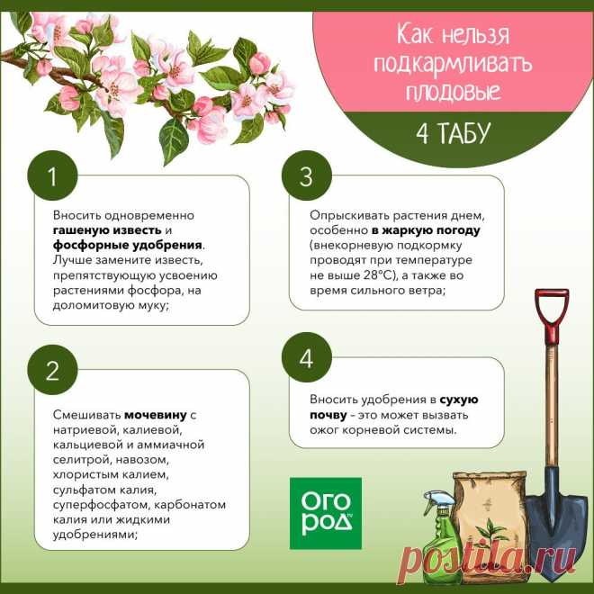 Как нельзя подкармливать плодовые