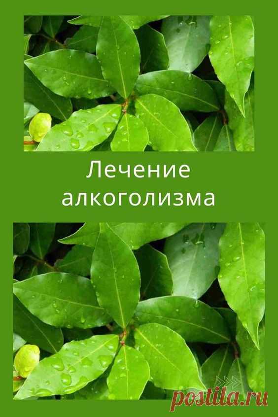 Лечение aлкоголизма Кодексол-Z поможет вернуться к нормальной жизни б ...