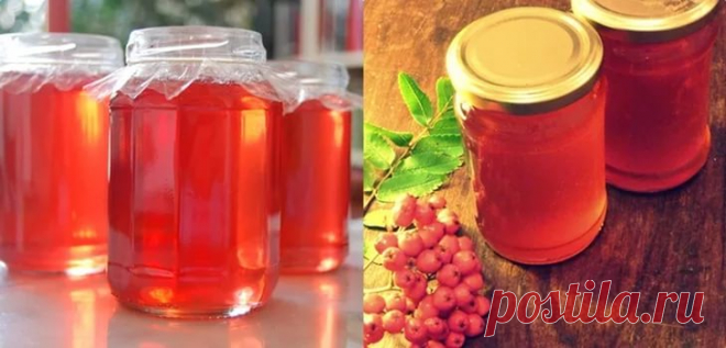 Сироп из рябины красной: как приготовить десерт из свежих, замороженных и сухих плодов рябины